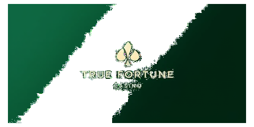 True Fortune Casino